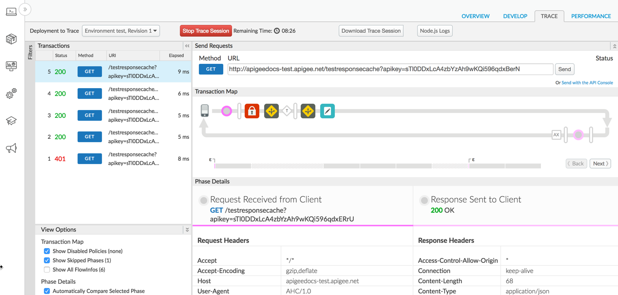 Apigee API testing interface